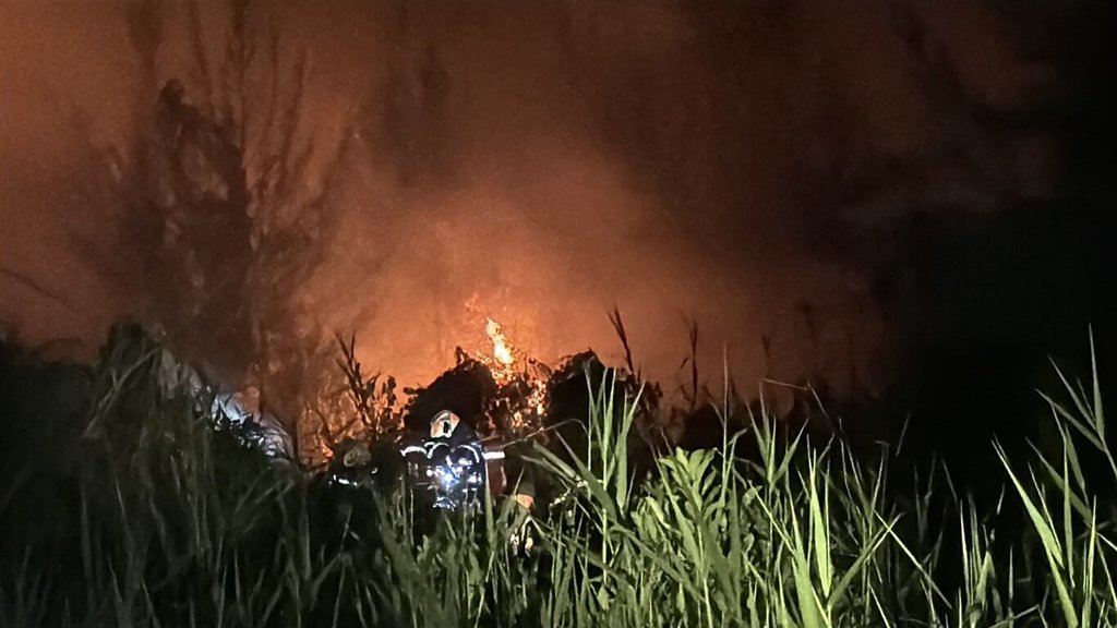 台東森林公園火警造成國家級濕地受損 環團籲評估國慶焰火風險