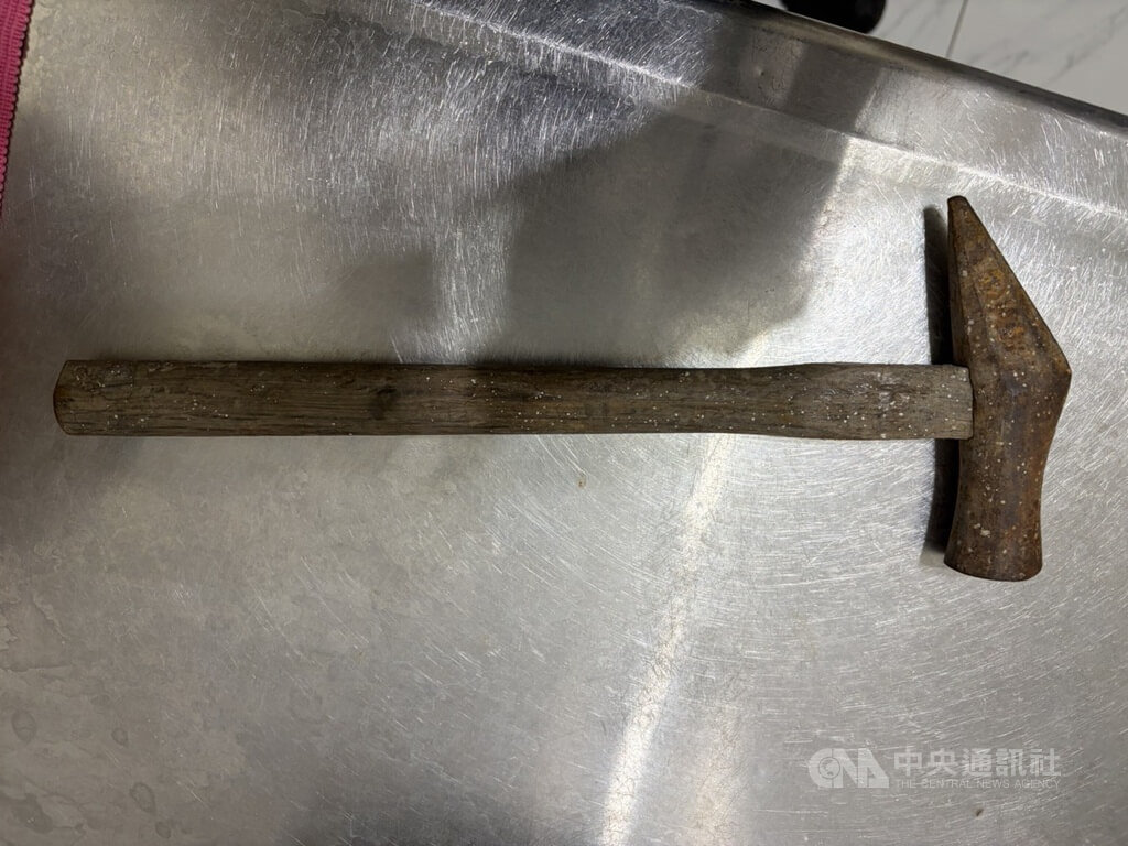 新北三重男鐵鎚猛擊流浪貓遭逮 最重恐面臨2年徒刑