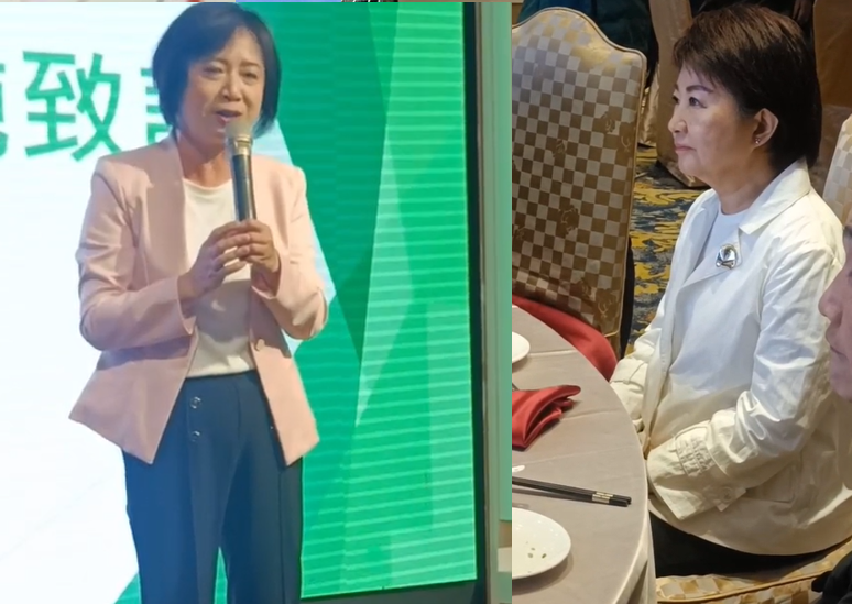何欣純曾當經著盧秀燕的面說，「我來普發現金」。圖：Newtalk資料照