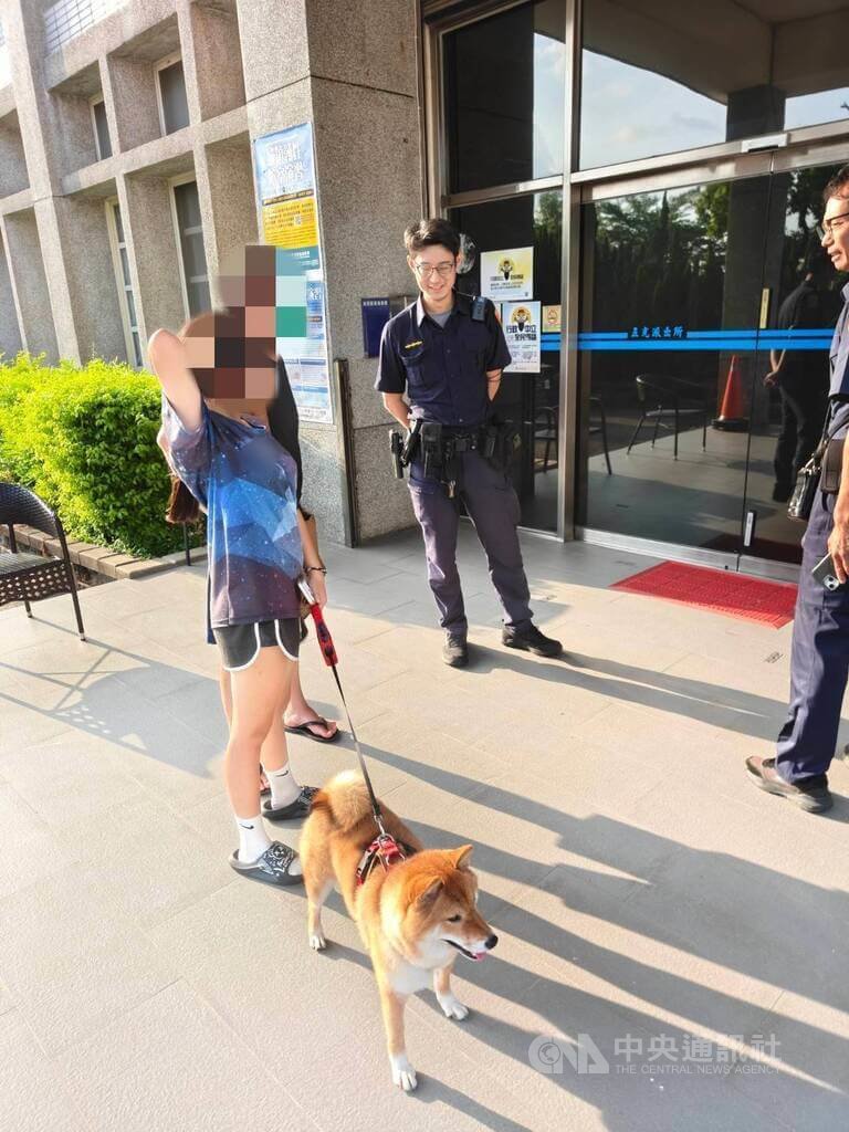 台中走失柴犬跳上好心陌生車 警掃晶片找到回家的路
