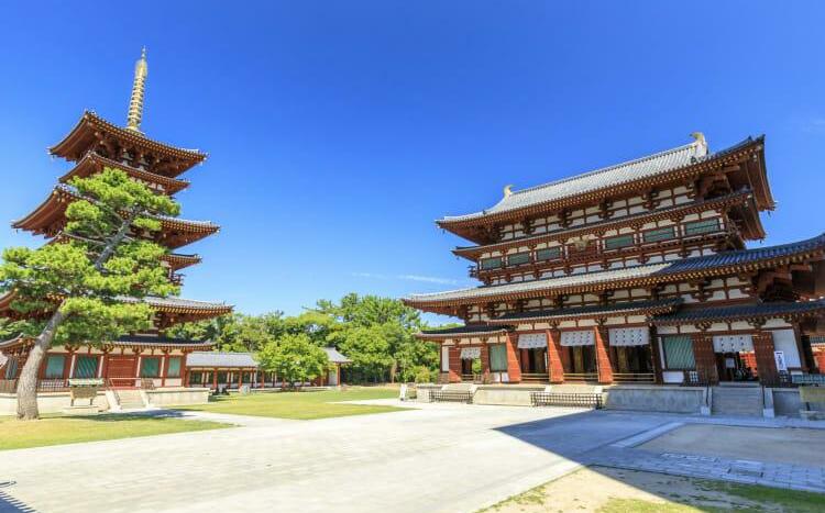 台灣女子在關西機場被抓了! 原因與她在奈良做「這事」有關....