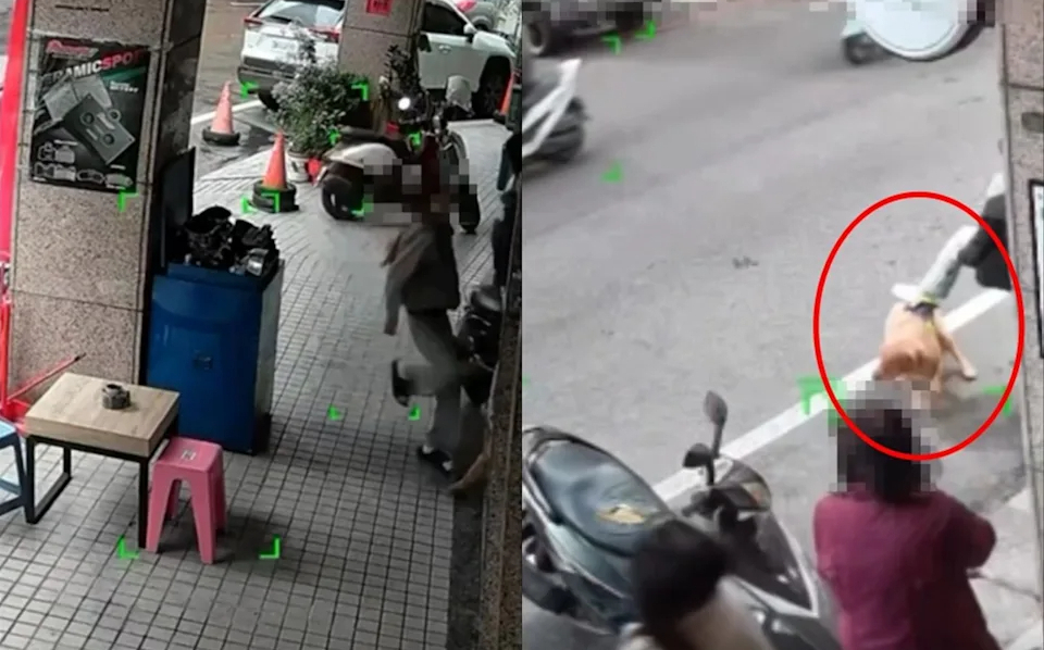 中壢機車行虐狗畫面瘋傳!飼主辯:小孩不懂事 動保處出手了