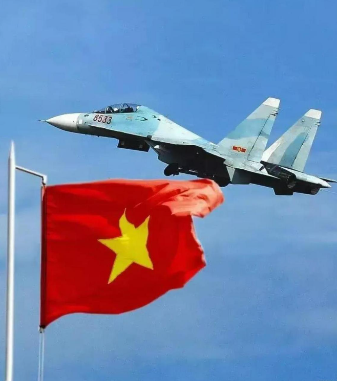 目前越南空軍主力仍以俄製戰機為主，約擁有 35 架蘇-30MK2、5 至 10 架蘇-27，以及 25 至 30 架蘇-22。 圖:翻攝自百度