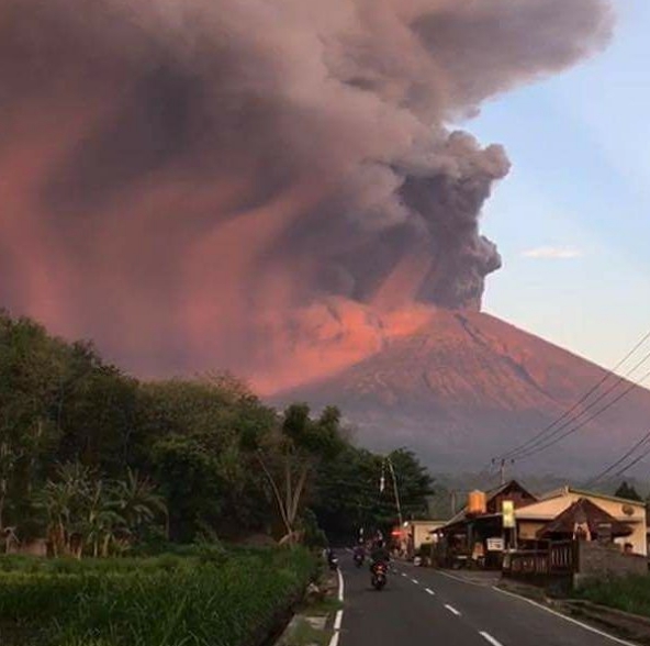 火山 災害