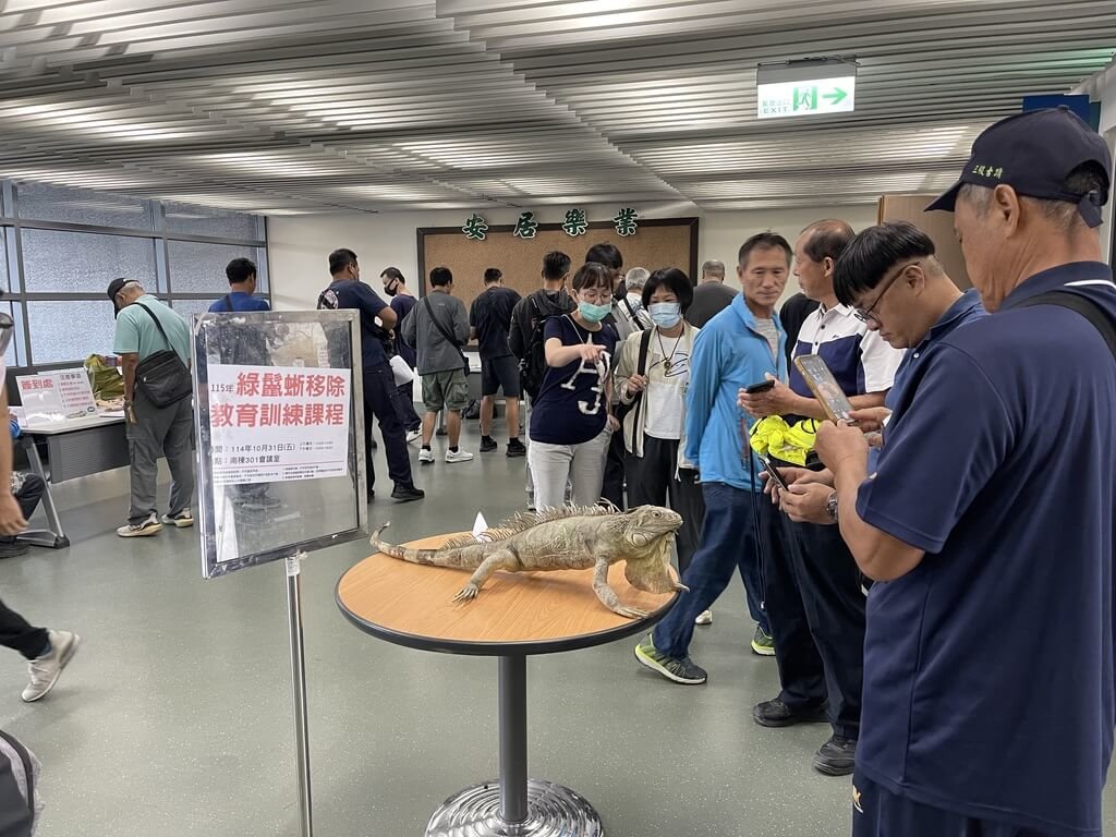 抓綠鬣蜥領禮券 屏東6場移除訓練22日起報名