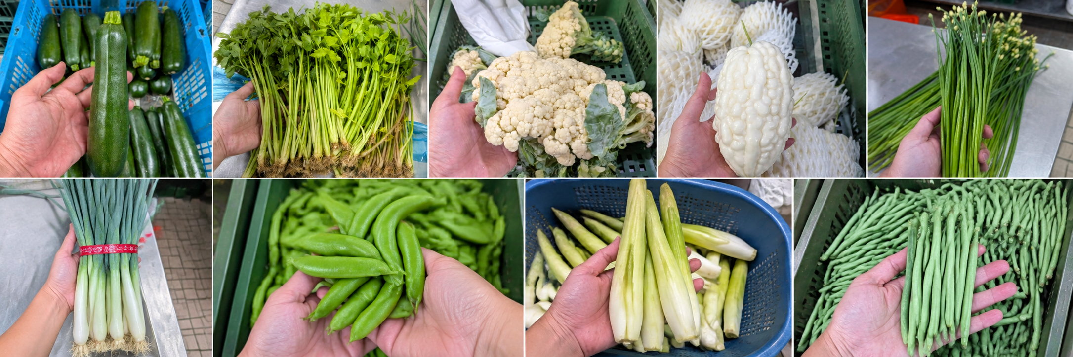 菜價開始跌了!菜販列「百元俱樂部」:沒點名的眼睛閉閉買