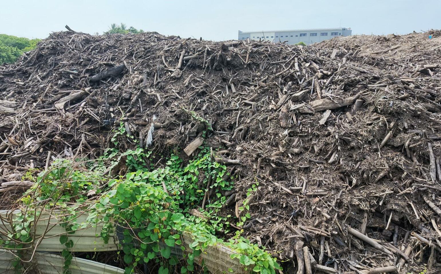 高市府稱「永安廢材山」烏龍爆料 柯志恩:事實俱在,何來烏龍?