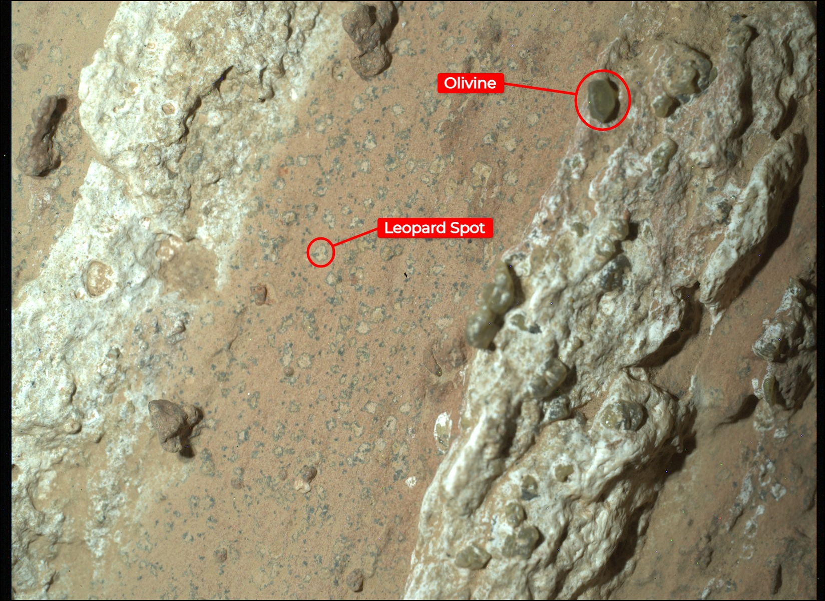 火星驚現生命跡象! NASA關鍵樣本卻因預算喊卡 恐被中國截胡