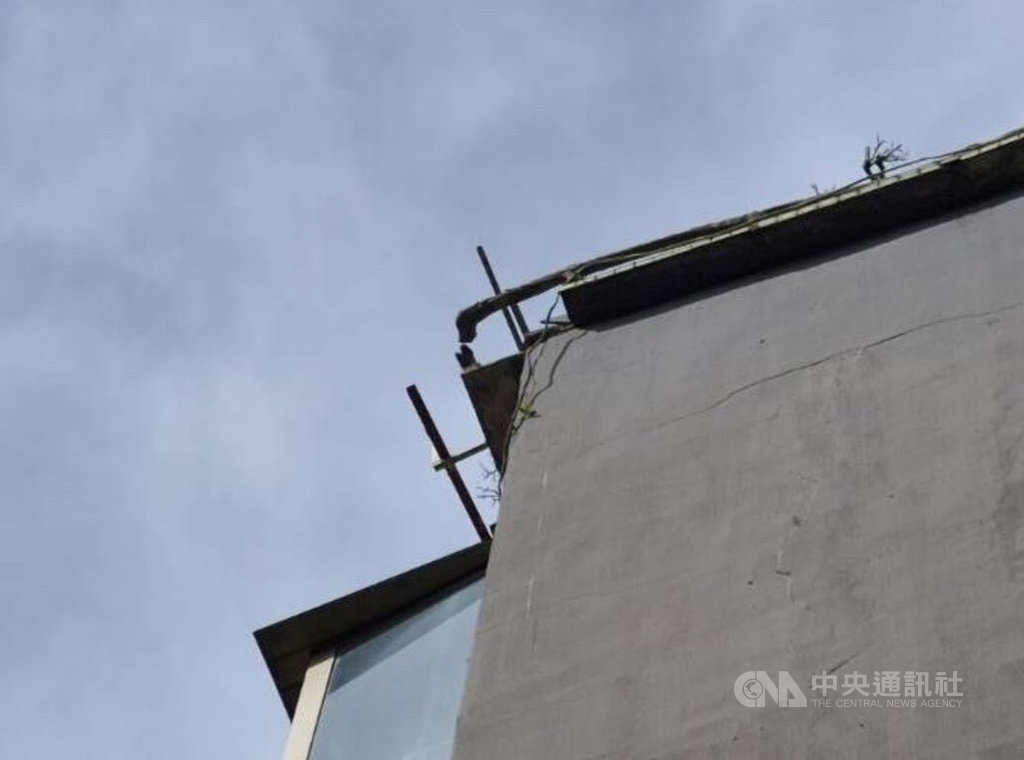 北市公寓外牆磁磚掉落砸傷男子頭部 建管處開罰