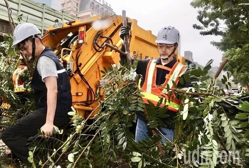 PO蔣萬安清路樹照 王鴻薇嘆:網路造謠已造成市民危害