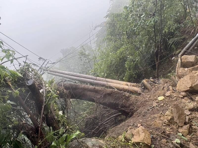 薔琵狂襲南投!樹倒路坍災情頻傳 逾5千戶停電