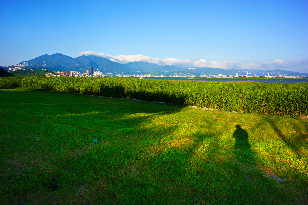 八里左岸自行車道兩旁翠綠的草坪，常是假日全家大小遊憩休閒的好去處。   圖：台北市觀光傳播局提供