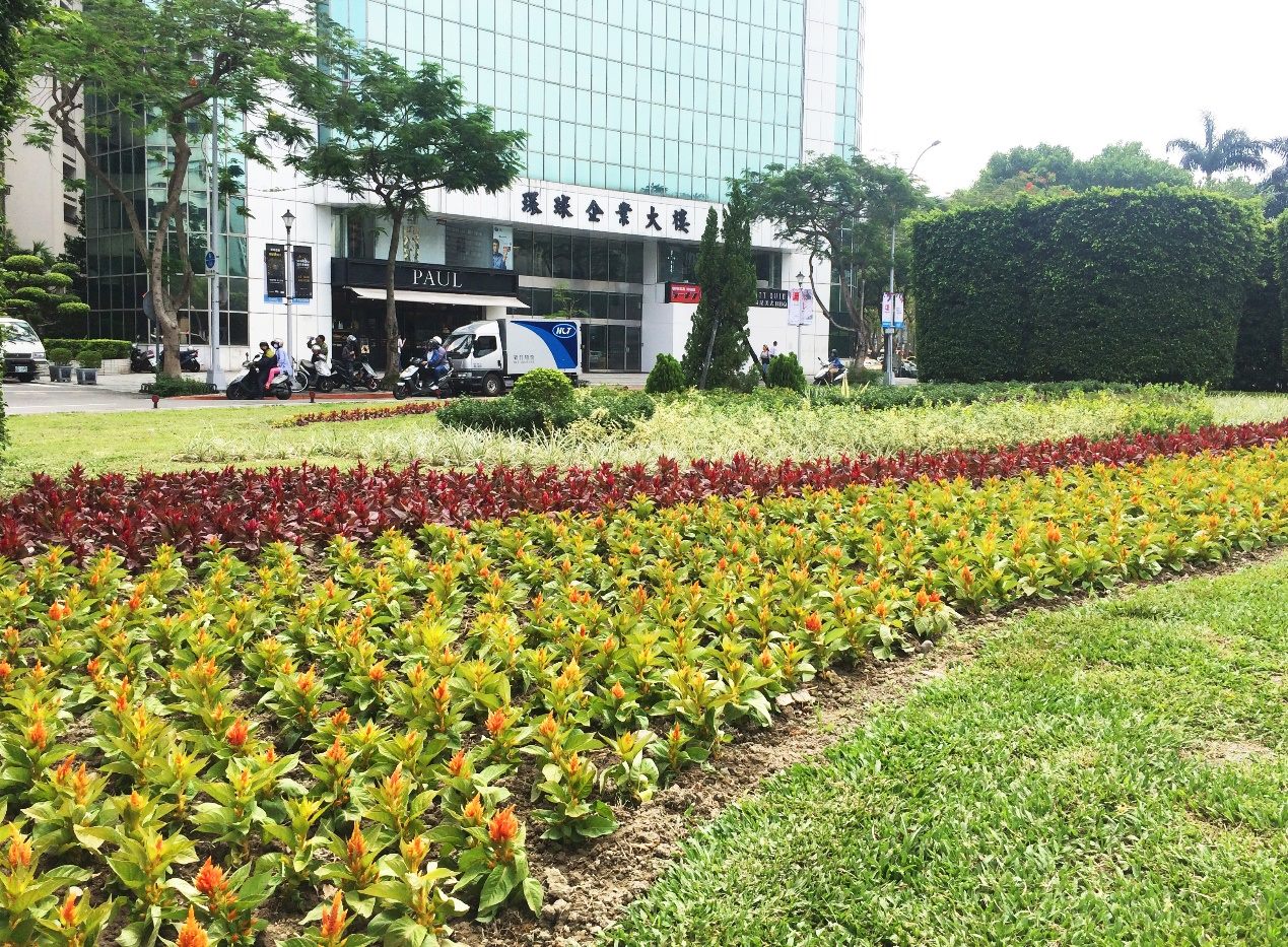 仁愛圓環有故事 詩意菱角鳥成文青取景地 旅遊 新頭殼newtalk