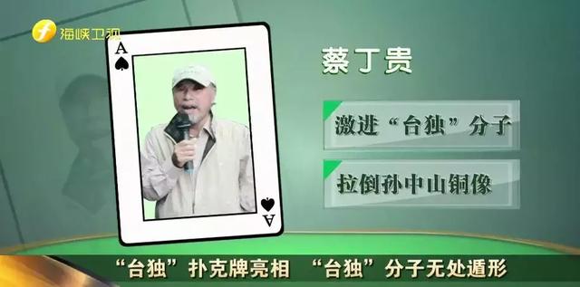 自由臺灣黨創黨黨主席蔡丁貴。   圖：翻攝自海峽衛視網站