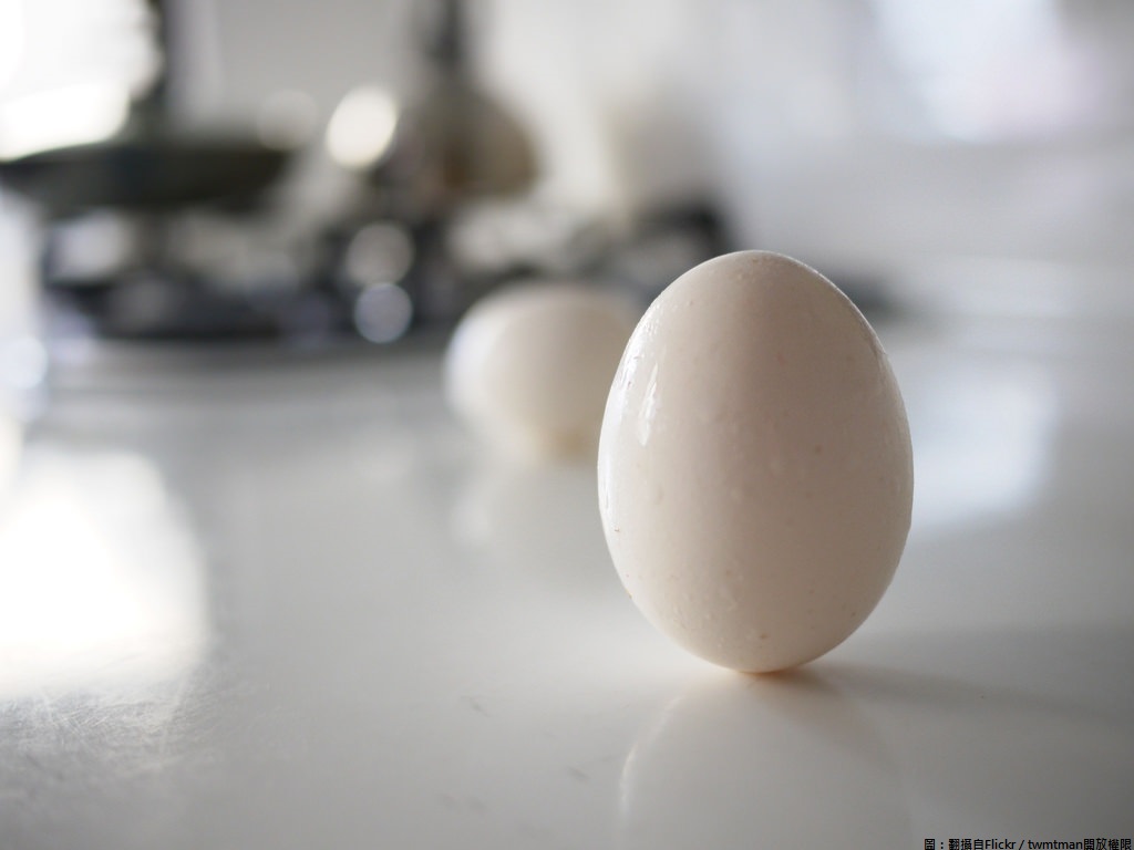 鸡蛋|摄影|静物|Rivasky - 原创作品 - 站酷 (ZCOOL)