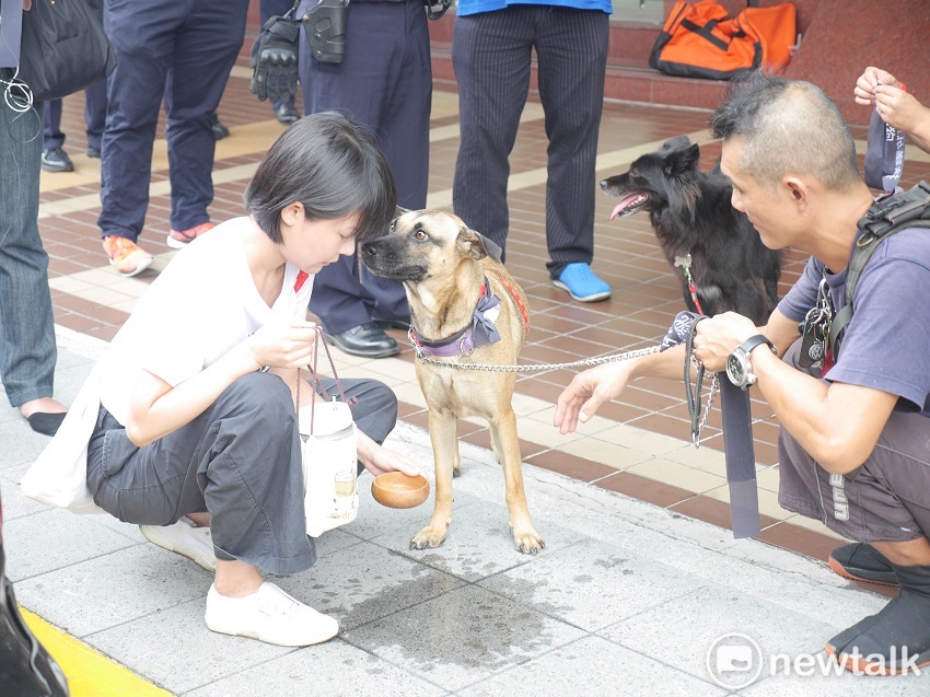 外籍移工虐待、濫殺貓狗事件頻傳，保猋護生聯盟、台灣樹人會等多個動保團體今天到勞動部前表達自身的聲音。