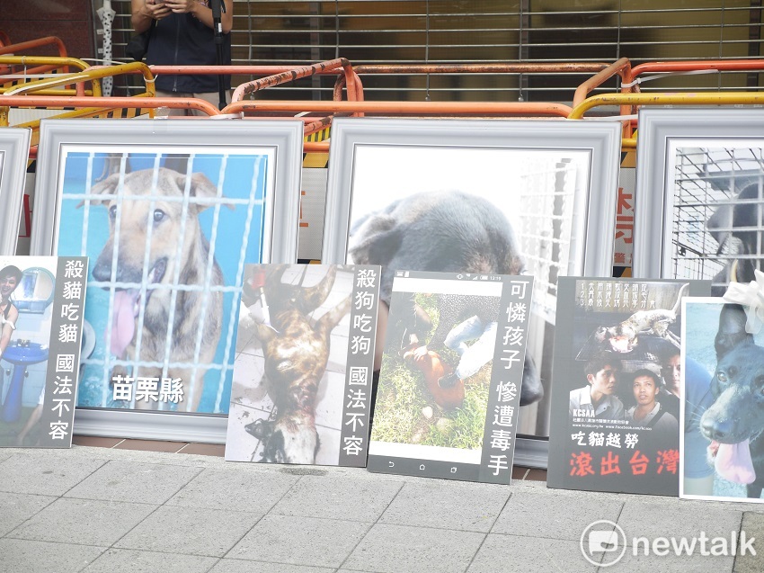 外籍移工虐待、濫殺貓狗事件頻傳，保猋護生聯盟、台灣樹人會等多個動保團體今天到勞動部前表達自身的聲音。