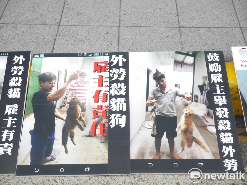 外籍移工虐待、濫殺貓狗事件頻傳，保猋護生聯盟、台灣樹人會等多個動保團體今天到勞動部前表達自身的聲音。