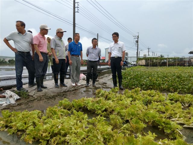 高雄市果菜市塲進貨情況。 