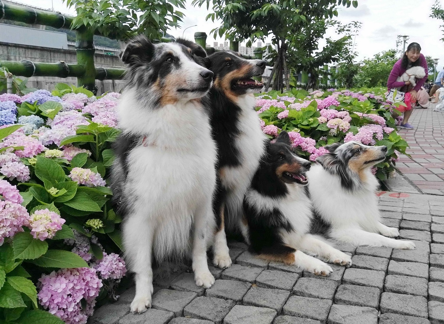 新北市長朱立倫頒獎給349位環保英雄，其中3名特優獎得主，分別是丁琨祥 (左二)、何熊徵 (左一)及鄒秀奎 ( 右一)。 