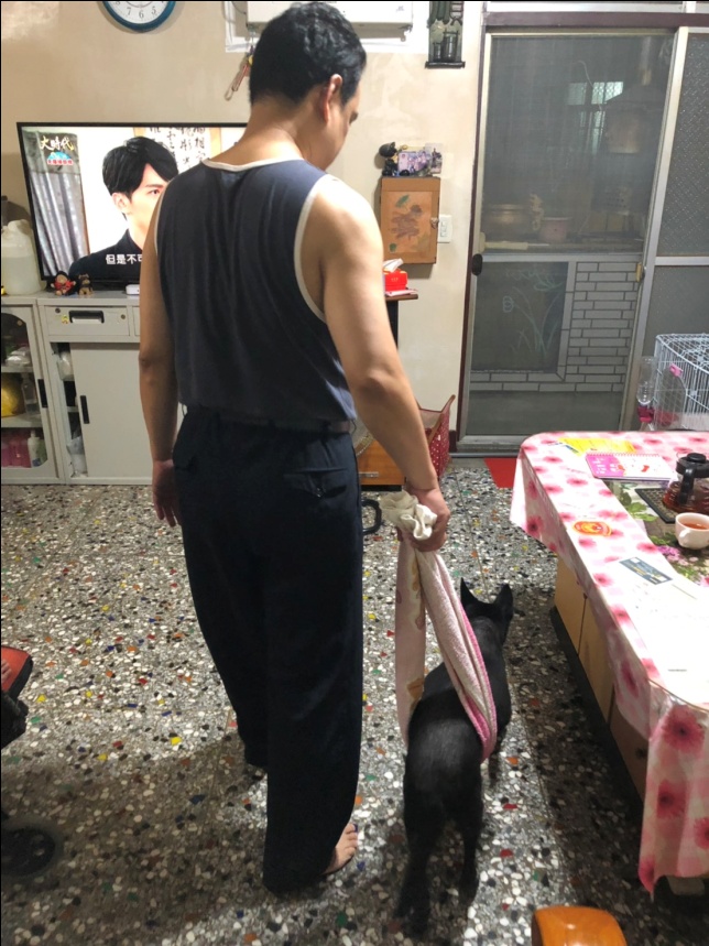 獲得「新北長壽狗寶貝」第1名的石黑黑。 