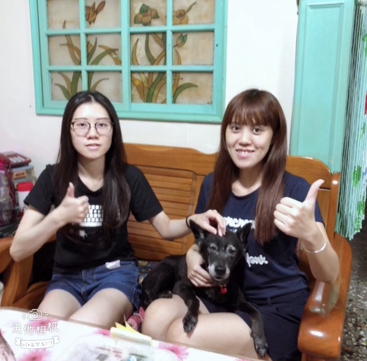 獲得「新北長壽狗寶貝」第1名的石黑黑。 