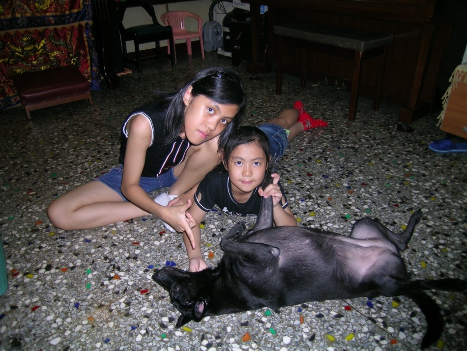 獲得「新北長壽狗寶貝」第1名的石黑黑。 