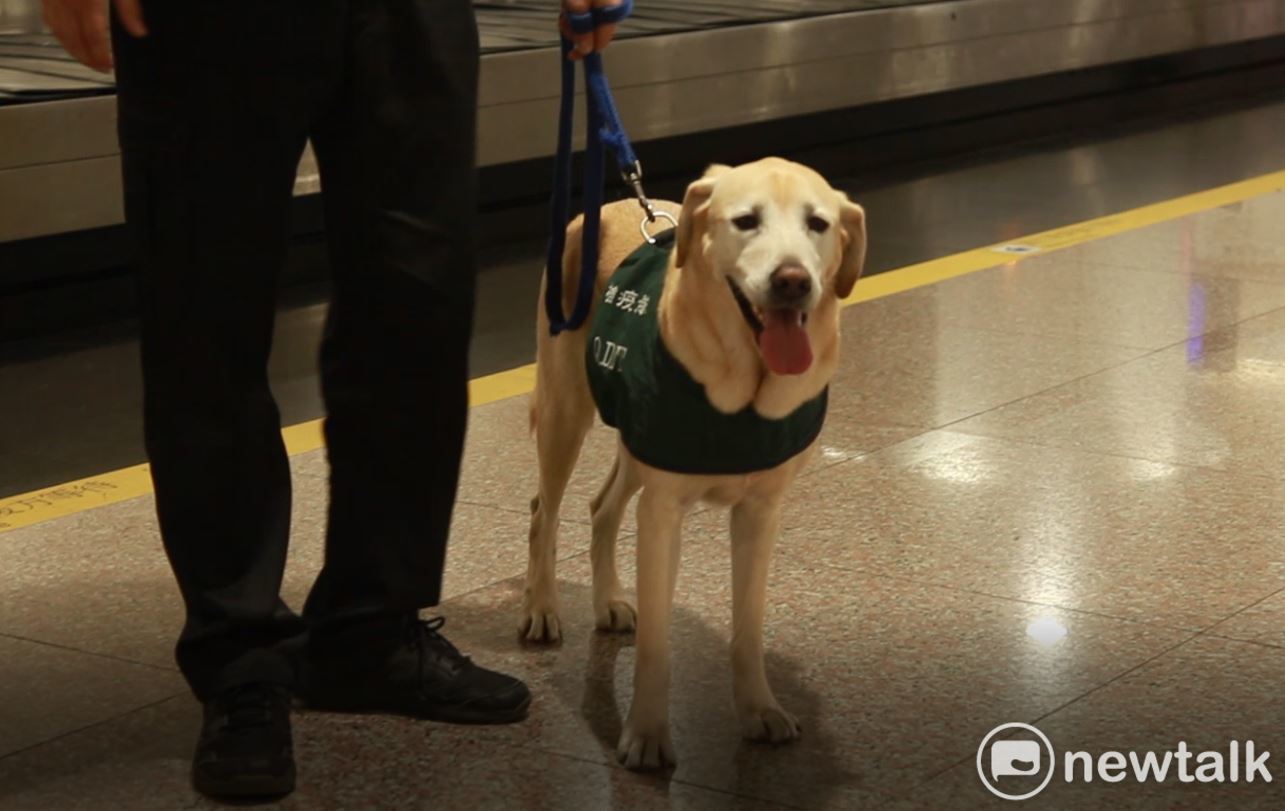 總統蔡英文親自到機場視察邊境防疫工作情況並慰勉第一線執勤人員，視察結束後還開心抱起檢疫犬與防檢人員合影。