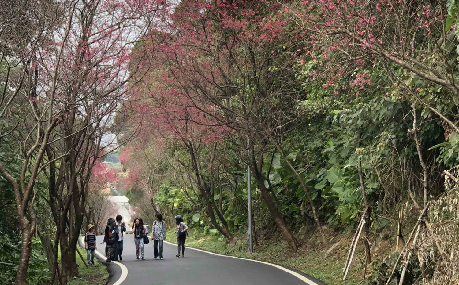 春天就是要出去玩！全台22縣市春遊補助出爐 | 旅遊 | Newtalk新聞