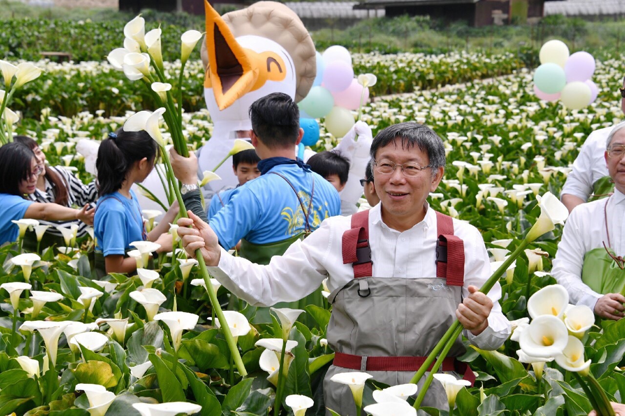 台北市長柯文哲今日出席陽明山海芋季活動。   圖：台北市政府 / 提供