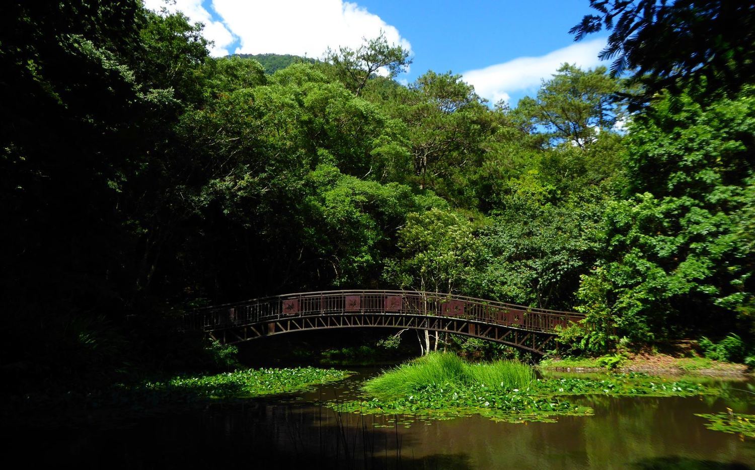 門票優惠限定 這3天奧萬大森林遊樂區入園只要10元 旅遊 新頭殼newtalk