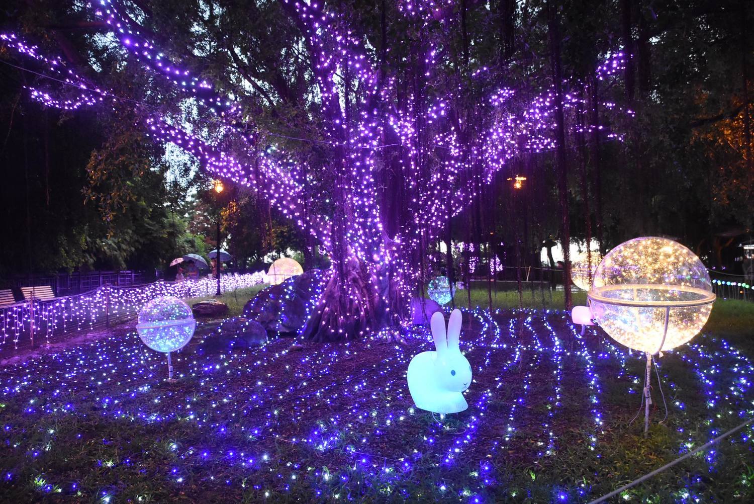 可愛的兔子在光球間停留，燈串鋪成滿地燈海。   圖：哇嘛愛彰化臉書／翻攝
