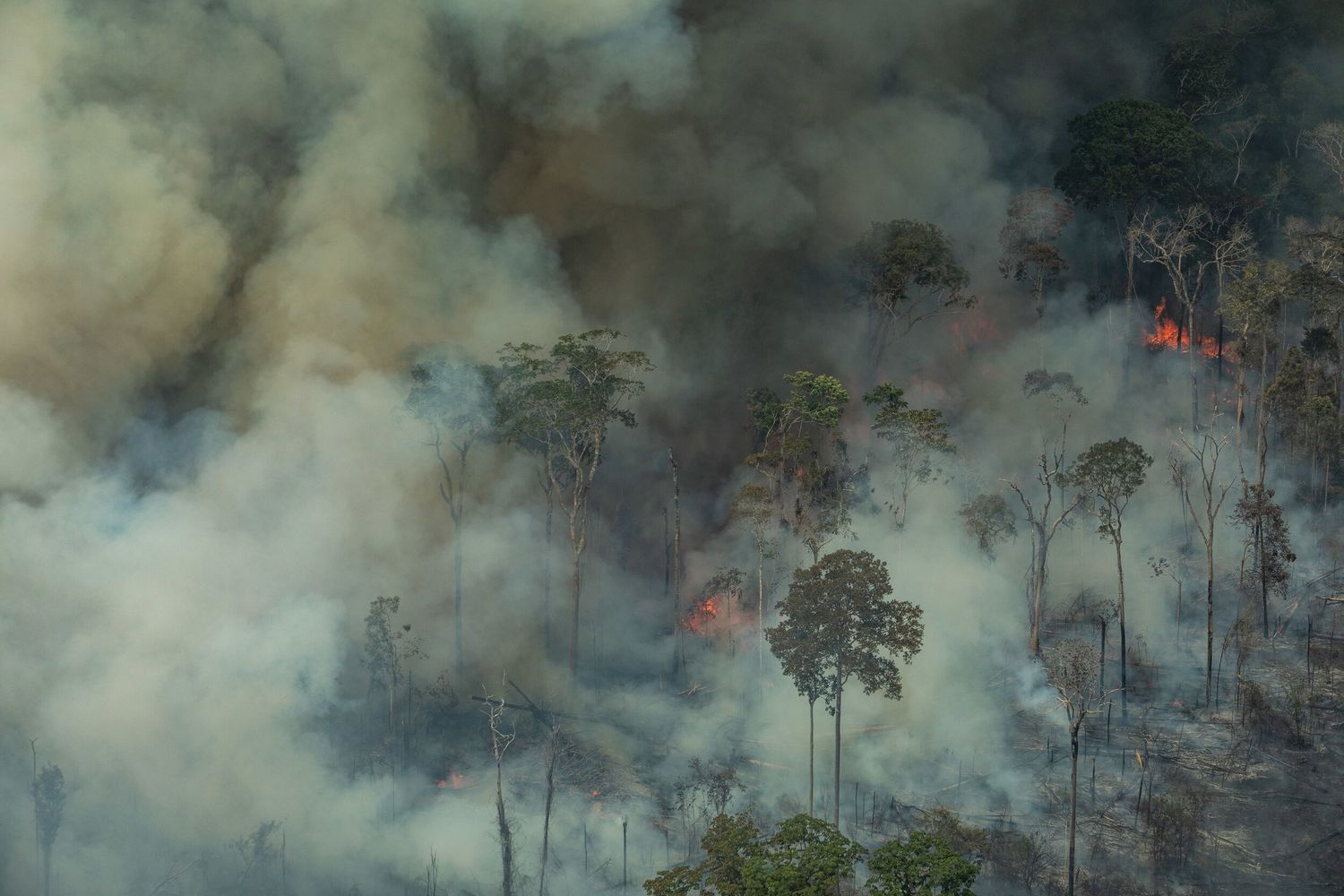 為了進行濫墾，多國政府縱容當地民眾焚燒雨林來求得開墾土地面積，圖為巴西雨林火警。(資料照片)   圖 : 綠色和平/提供 