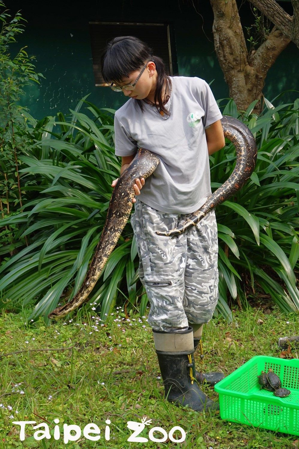 動物園 開箱 一下 保育員原來都在做這些事 生活 新頭殼newtalk