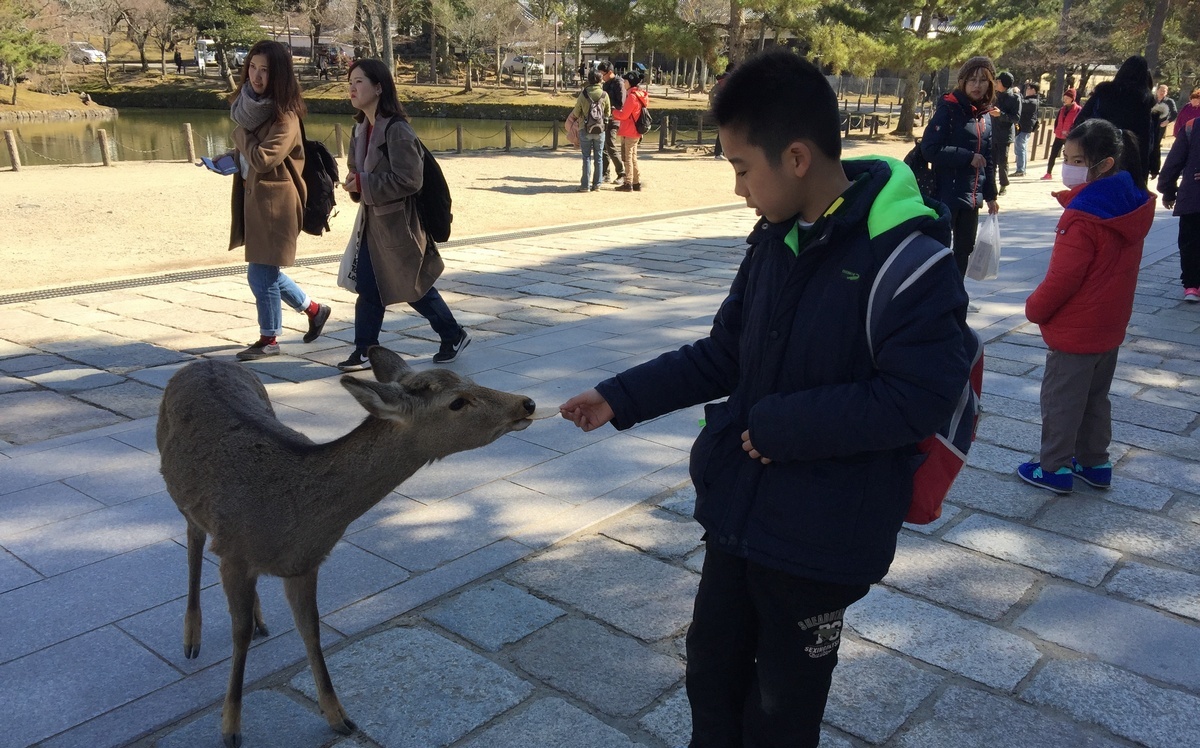 中國打擊日本旅遊將滿月 產經:真正承擔損失的是中國人