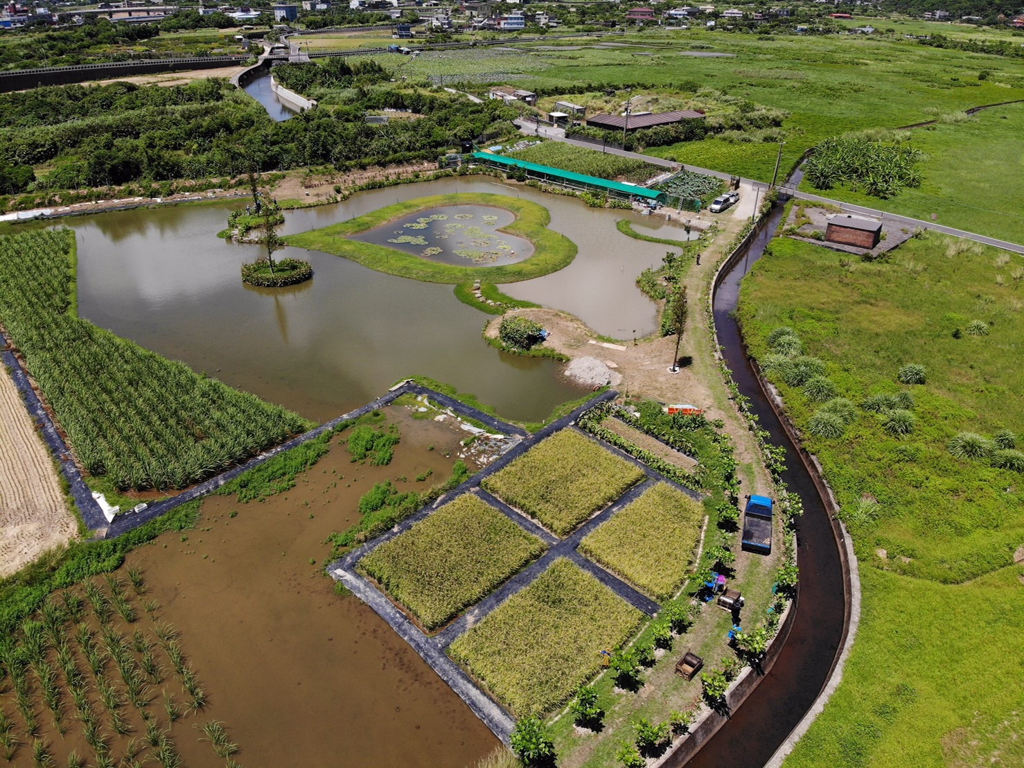 清水濕地中重要的保護區「金山環境教育基地」。   圖：春雷環境學社／提供