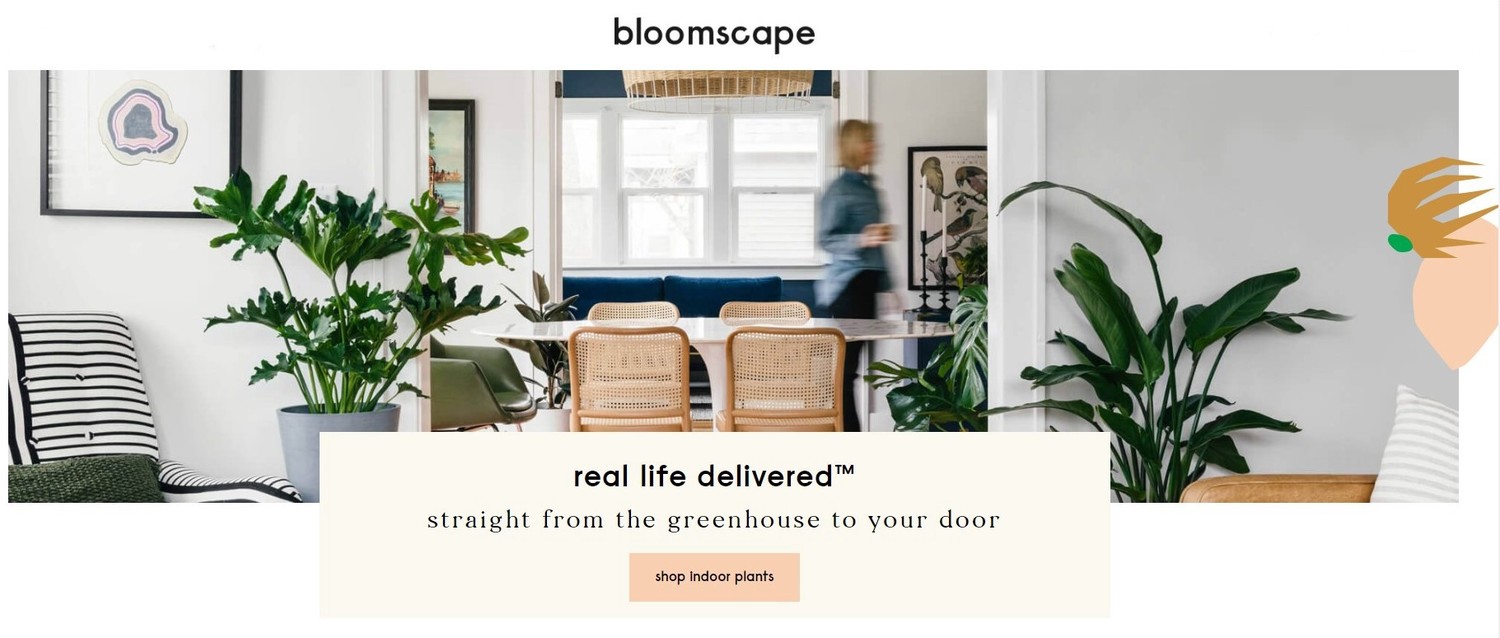 植栽電商 Bloomscape 以 D2C 販售各式室內植物，替生活帶來綠色氣息。   圖：取自 Bloomscape 官網