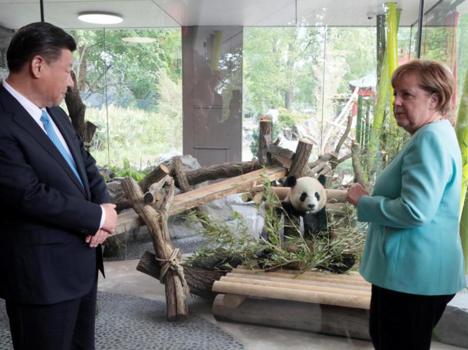 德國總理梅克爾與中國領導人習近平   圖:擷取自twitter