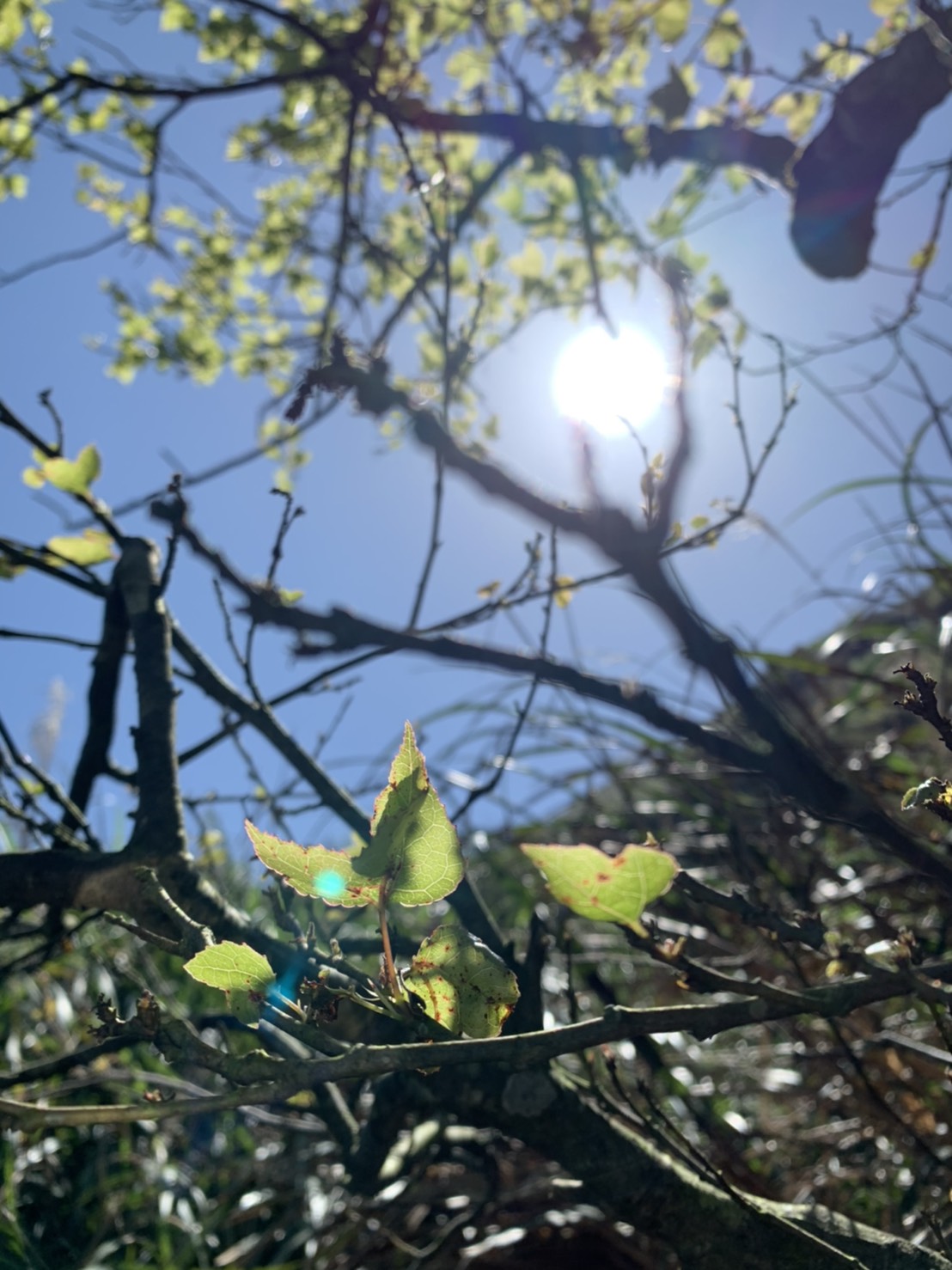 北東高溫飆35°C外出別忘防曬 中南部慎防短時強降雨