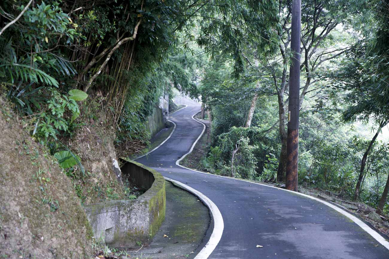 簡秋陽的稻田離貢寮市區還有十多分鐘車程的山上,通往山區的山路過窄,不利割稻機上山,石壁坑的農友們至今仍沿用傳統的人工種稻方式。 圖:張良一/攝 簡秋陽的稻田離貢寮市區還有十多分鐘車程的山上,通往山區的山路過窄,不利割稻機上山,石壁坑的農友們至今仍沿用傳統的人工種稻方式。 圖:張良一/攝