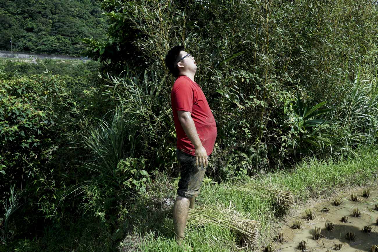 人工割稻的粗重工作讓一位前來幫忙的年輕農友也大喊吃不消,他趁著割稻空檔,在田埂上大大吐一口氣,讓彎腰到僵硬的腰桿可以挺直一下。 圖:張良一/攝 人工割稻的粗重工作讓一位前來幫忙的年輕農友也大喊吃不消,他趁著割稻空檔,在田埂上大大吐一口氣,讓彎腰到僵硬的腰桿可以挺直一下。 圖:張良一/攝