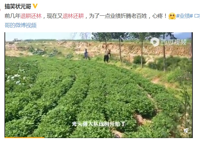 中國網友在微博po出各農民忙著吹果樹、種糧食的影片，痛批根本是折騰老百姓。   圖：翻攝自搞笑狀元哥微博