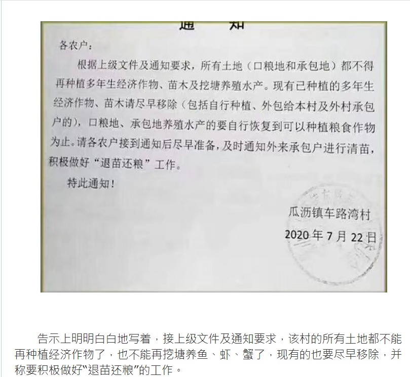 中國浙江省蕭山瓜瀝鎮貼出「退果還糧」公告，要求農民自行將土地「恢復到可以種植糧食作物為止」。   圖：翻攝自中國360苗木網