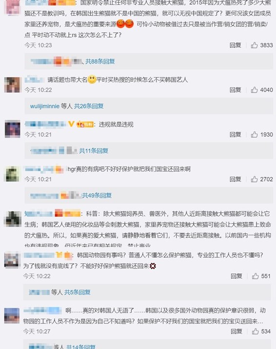 中國網友超氣，痛批「韓國人不會養就把熊貓還回來」。   圖：截圖自微博