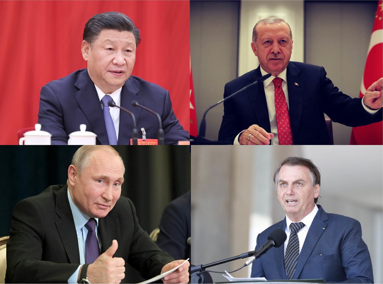 Chinese leader Xi Jinping, Russian leader Putin, Turkish President Elduan, Brazilian President Posonalo Figure: New Head Shell Synthesis