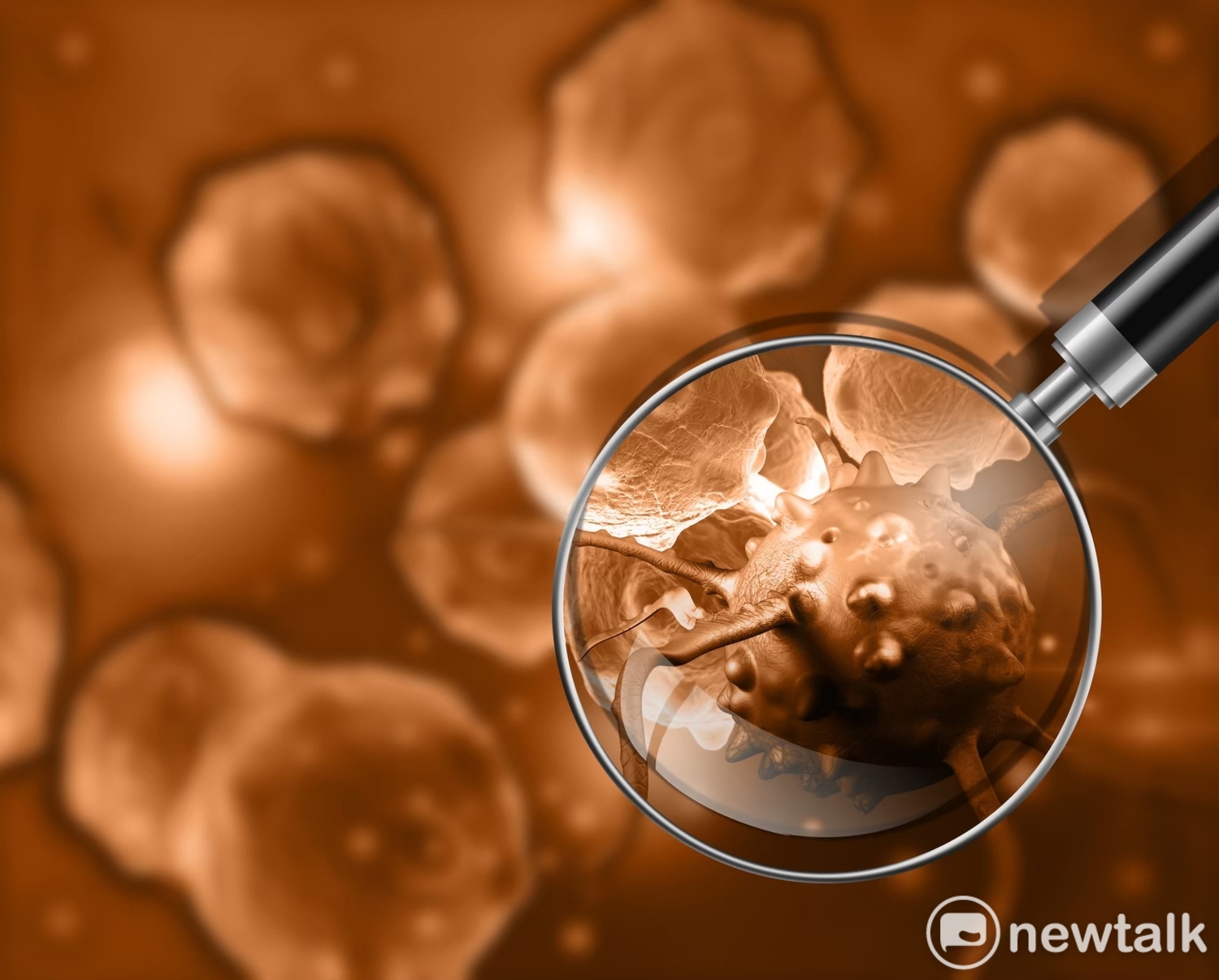 Academia Sinica noted that the new coronavirus has mutated from Wuhan virus No. 1 early in a 