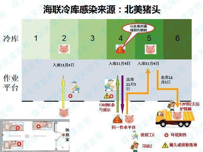 China's Tianjin municipal government claimed the epidemic stemmed from imported pig heads from North America.  The official release of the North American pig head infection epidemic flowchart Image: A photo from Tianjin Municipal Government Official Weibo