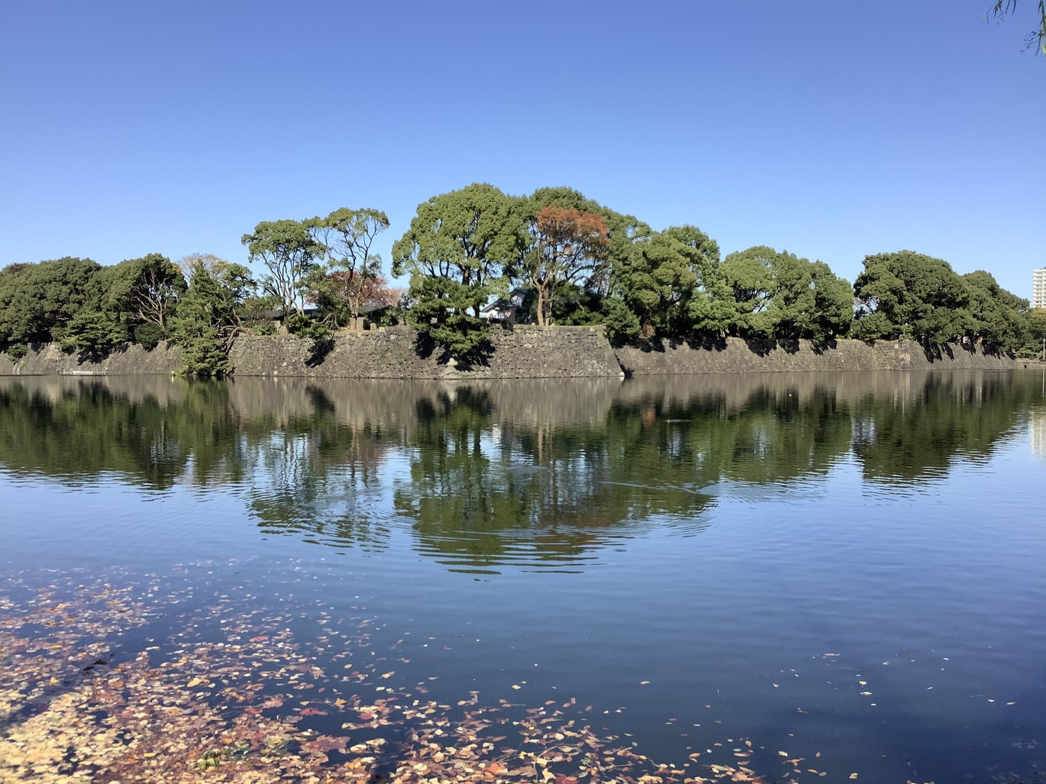 The imperial palace seen from the moat of Hibiya.  The image of the Japanese Imperial Palace has always been very good, and now it will be damaged by Kei Komuro.Image: Liu Lier / Photo