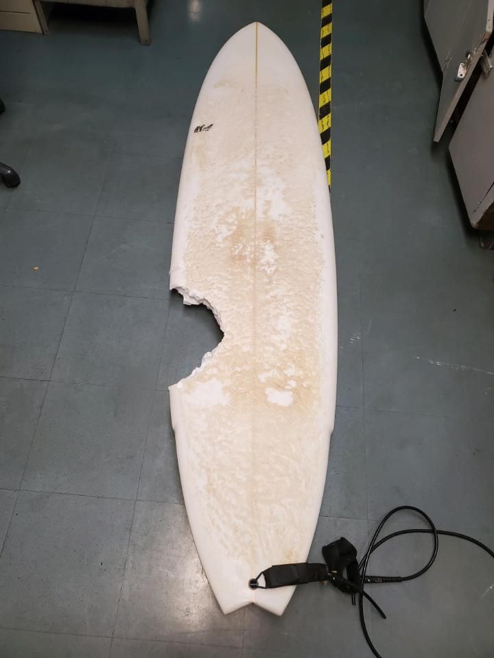 A 56-year-old man from Lahaina, West Maui, went surfing in Honolua Bay early in the morning on the 8th. He was bitten by a shark and died after being sent to hospital. The picture shows a surfboard bitten off by a shark.Picture: Retrieved from the website of the Hawaii Department of Land and Resources