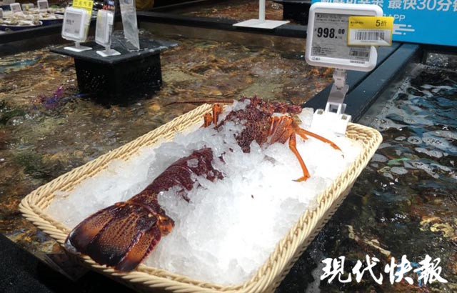 价值新台币8551万元的澳洲大龙虾被耽搁在上海海关，直到龙虾死亡。（示意画面）   图：翻摄现代快报(photo:NewTalk)